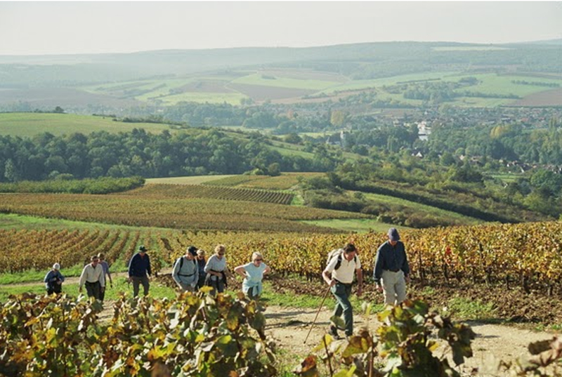 La Belle Epoque - Walking in  Burgundy