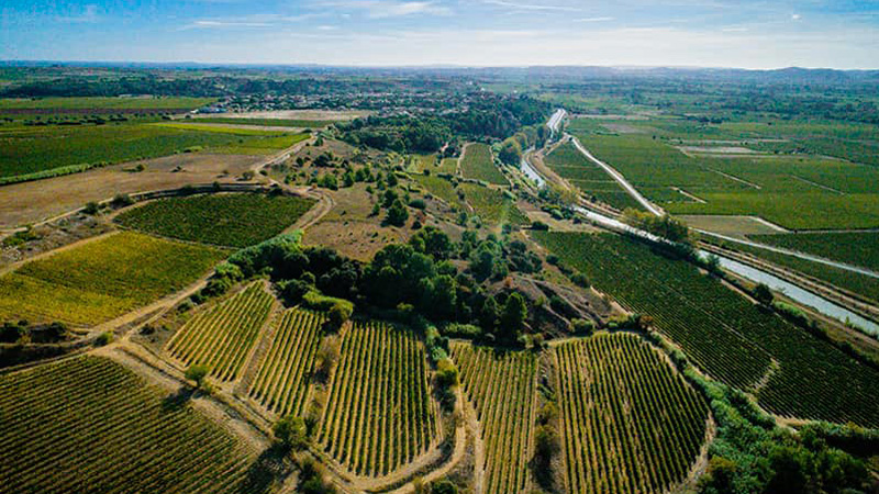 Chateau de Paraza, Vineyards - France