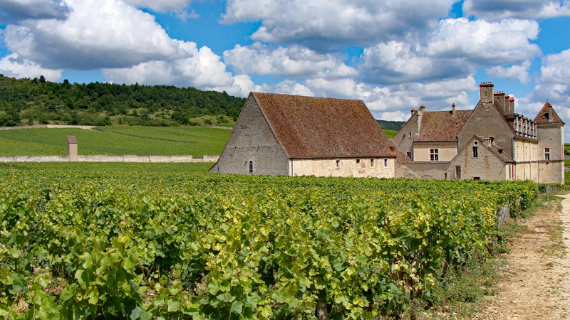 French Hotel Barges - Barging in France - Clos de Vougeot - BargeCharters.com