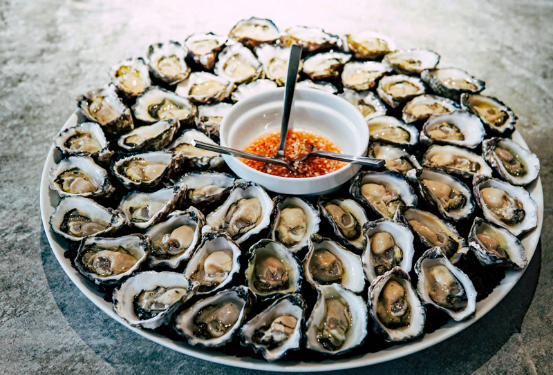 Oysters from the Etang de Thau in the south of France