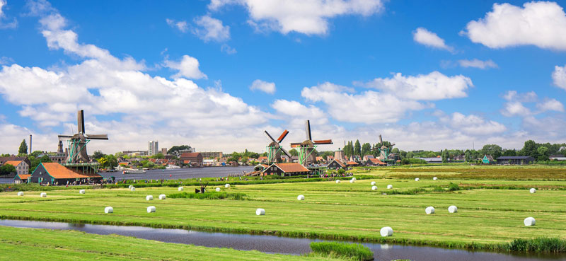 Barging cruise charter blog - Holland tulip field