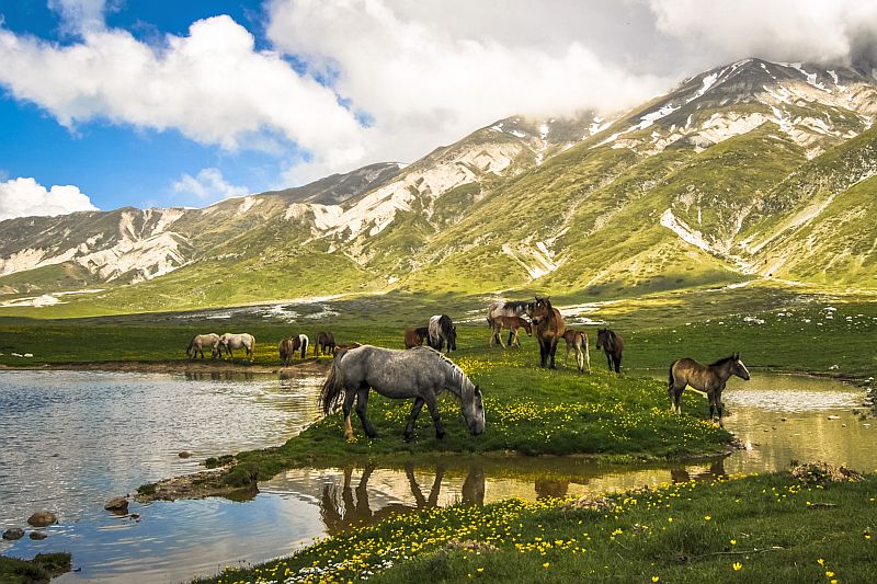 Italian Wine Guide - Abruzzo