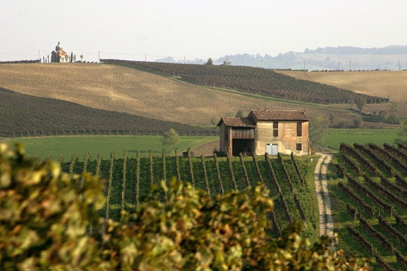 Italian Wine Guide - Emilia-Romagna