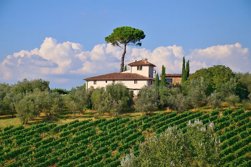 Italian Wine Guide - Tuscany