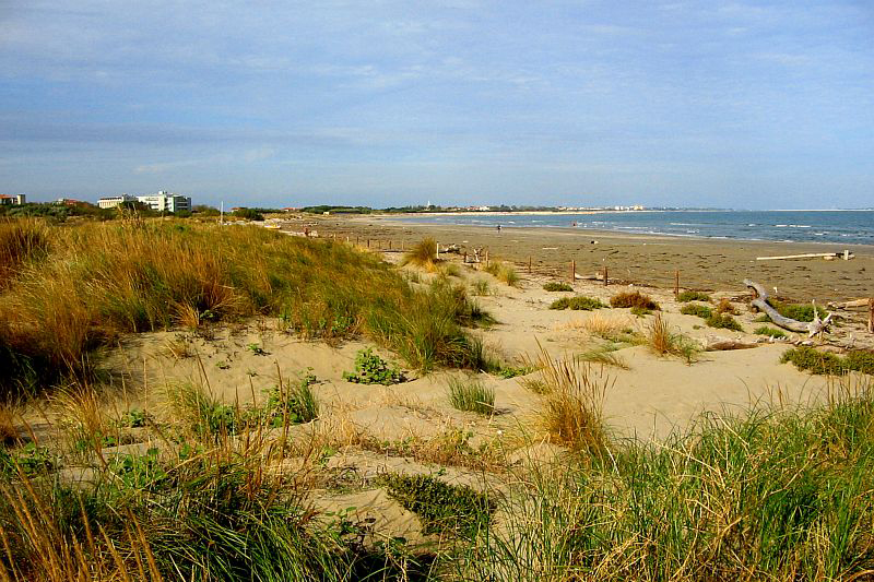 River Po, Italy - Alberoni Dune Oasis